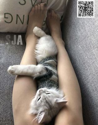 hd欧美孕交孕妇高清_剧情片电视剧在线观看