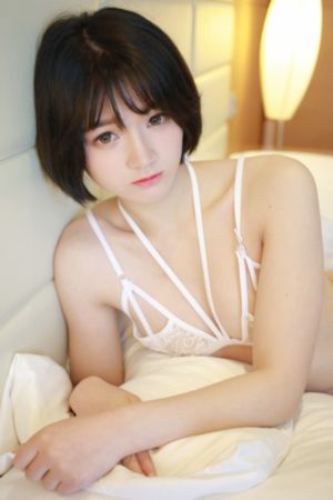 珠帘玉幕新剧电视剧免费观看_BDHD高清在线观看